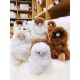 Auskin Alpaca Friends新西兰羊驼驼羊玩偶 米白色 3种尺寸